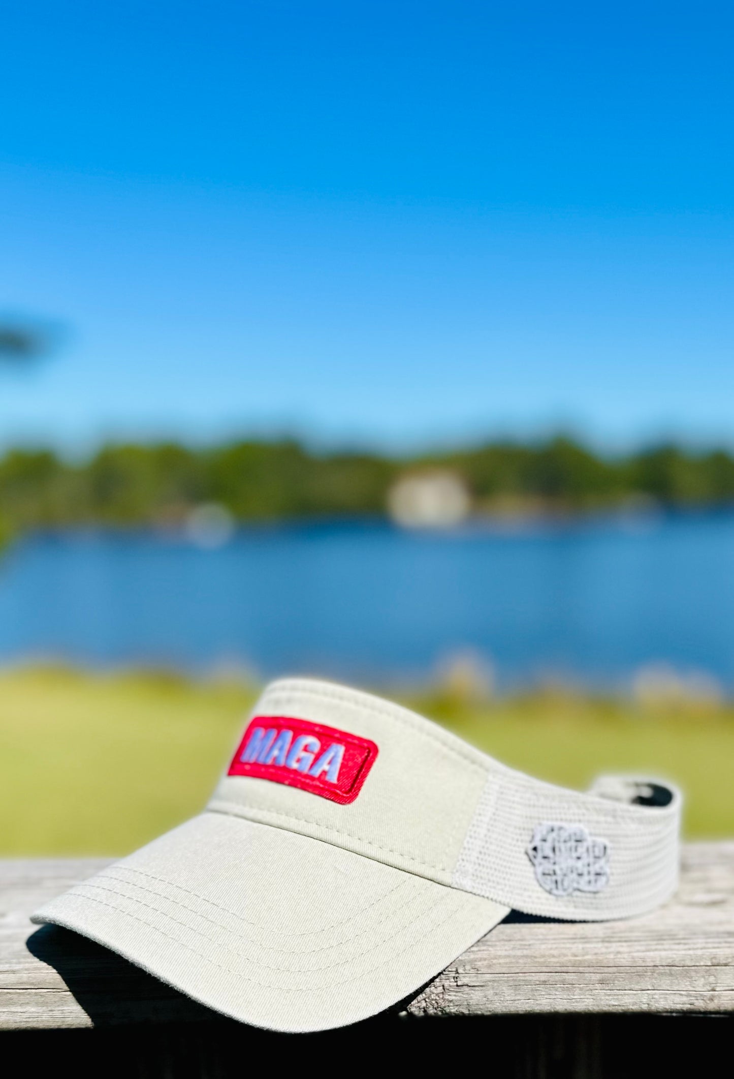 The Donald Visor Collection