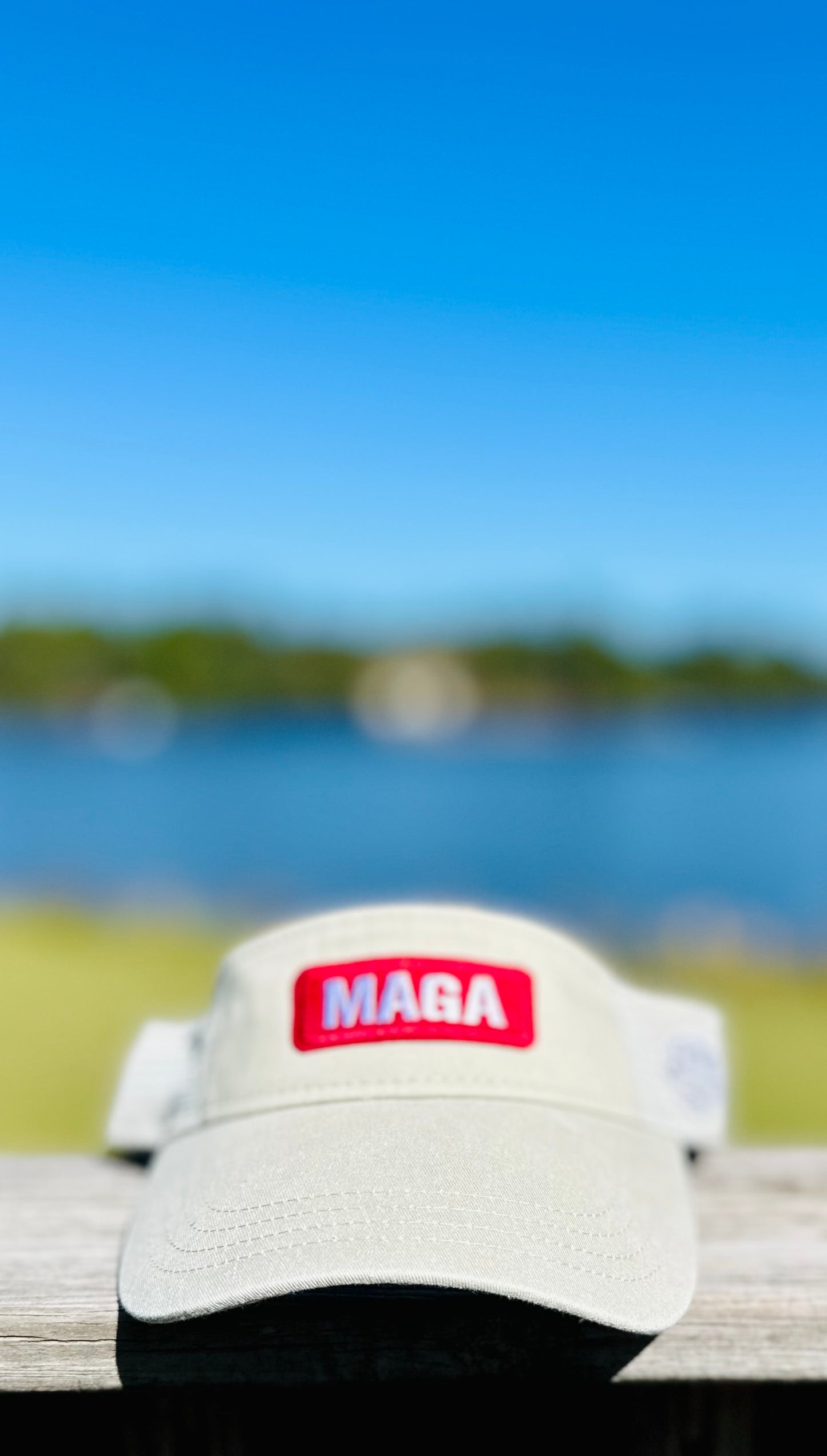 The Donald Visor Collection