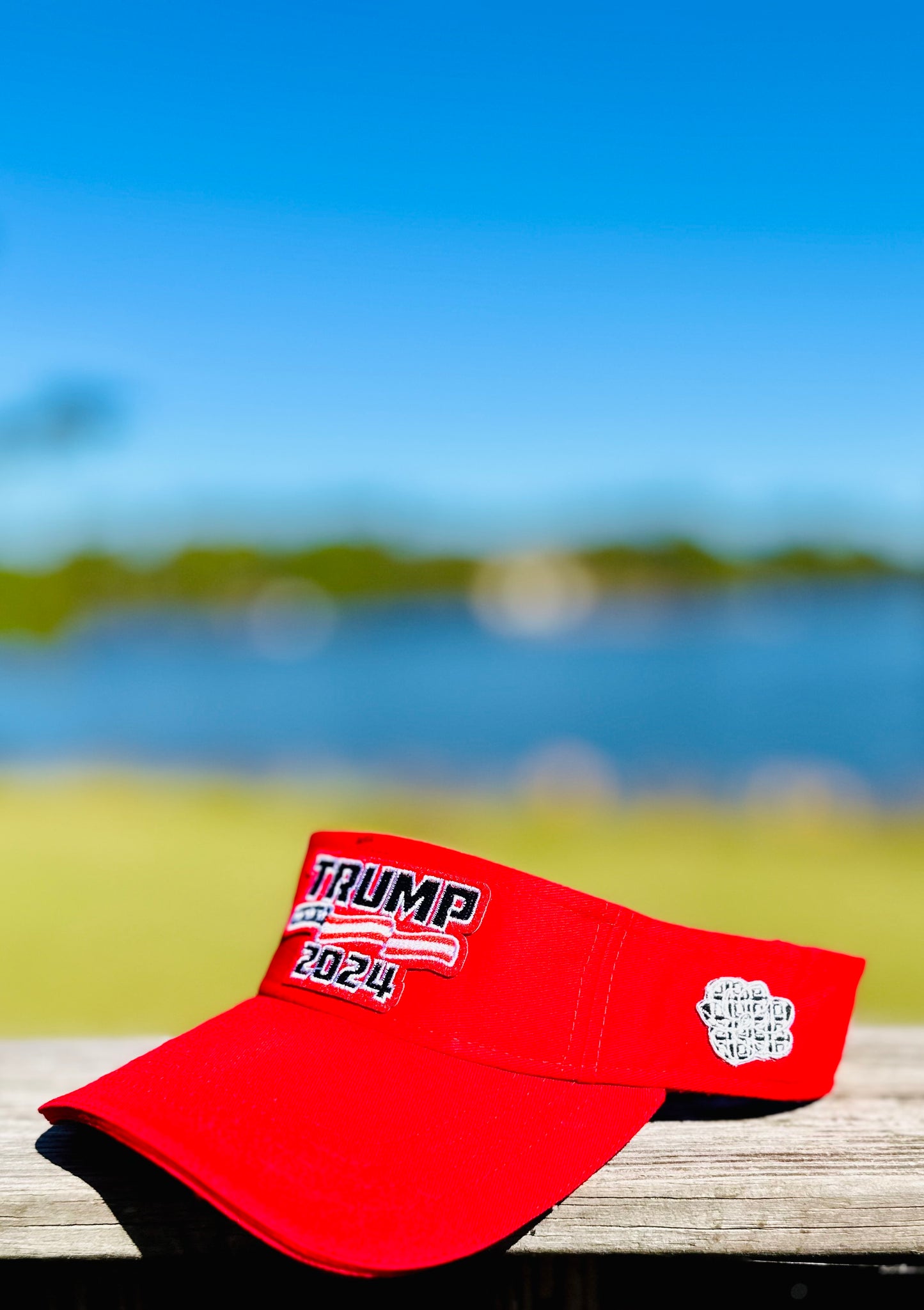 The Donald Visor Collection