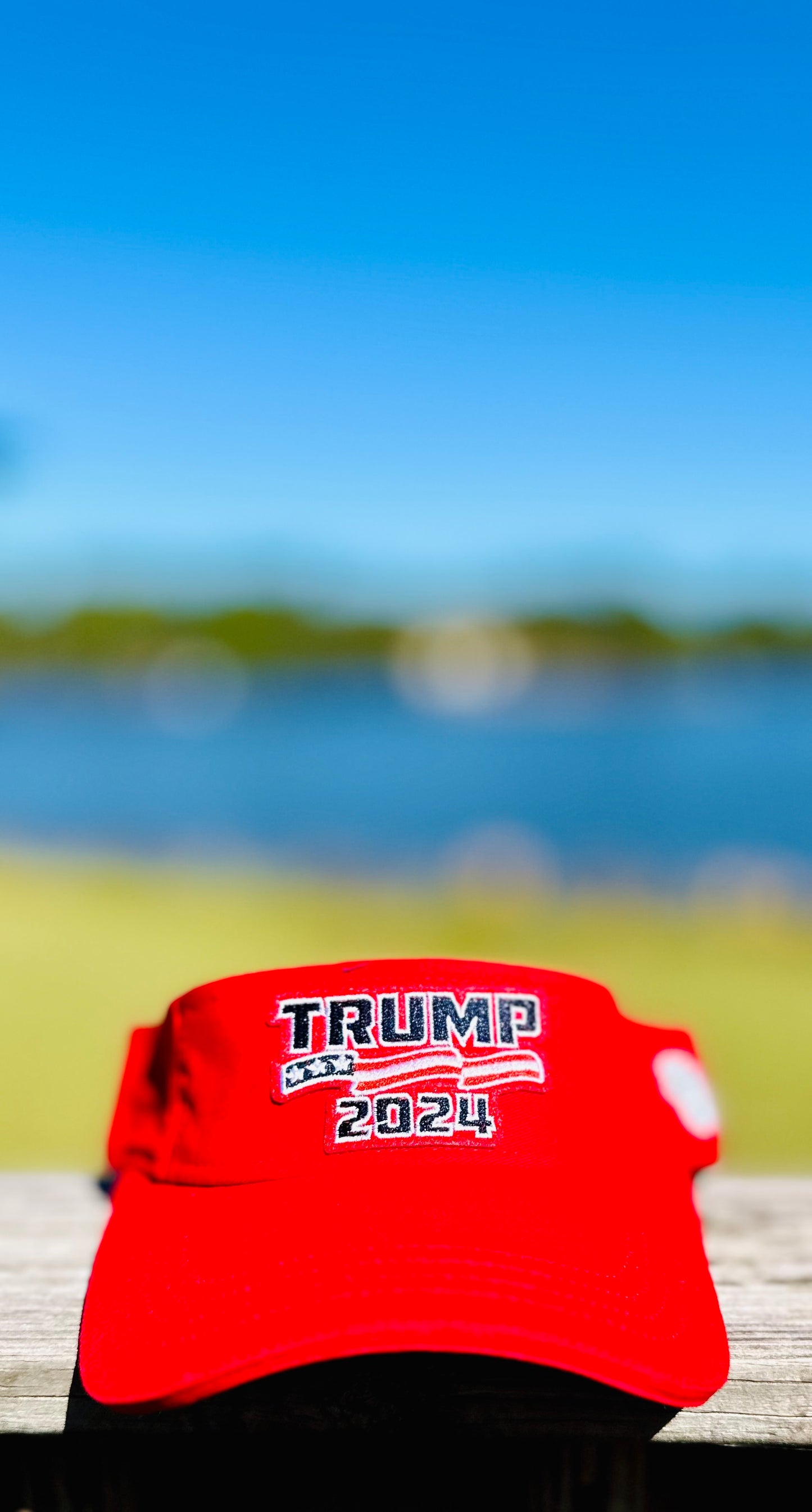 The Donald Visor Collection