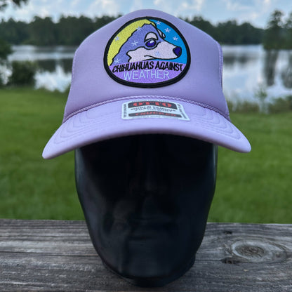 Chihuahuas Against Weather | Lavender Otto Foam Front Rope Trucker Hat